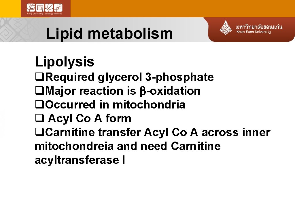 Lipid metabolism Lipolysis q. Required glycerol 3 -phosphate q. Major reaction is -oxidation q.