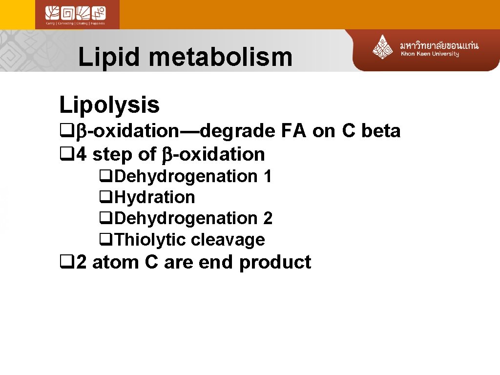 Lipid metabolism Lipolysis q -oxidation—degrade FA on C beta q 4 step of -oxidation