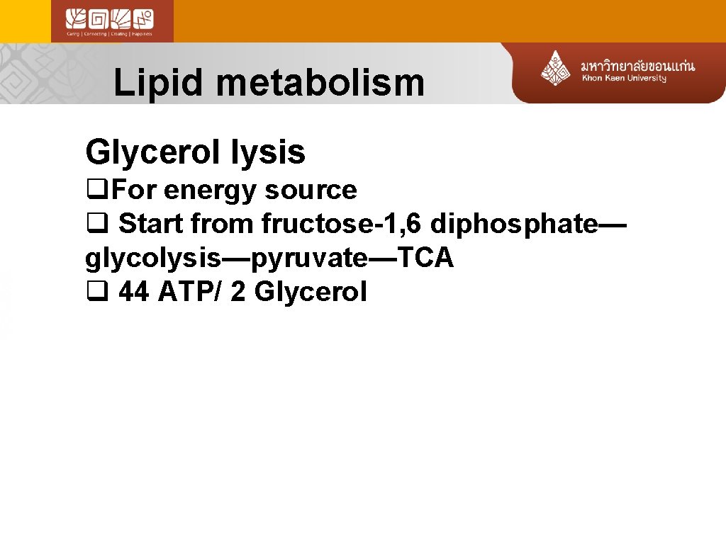 Lipid metabolism Glycerol lysis q. For energy source q Start from fructose-1, 6 diphosphate—