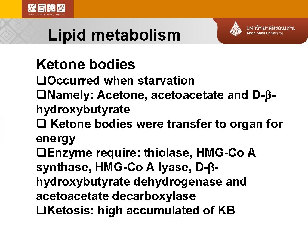 Lipid metabolism Ketone bodies q. Occurred when starvation q. Namely: Acetone, acetoacetate and D-