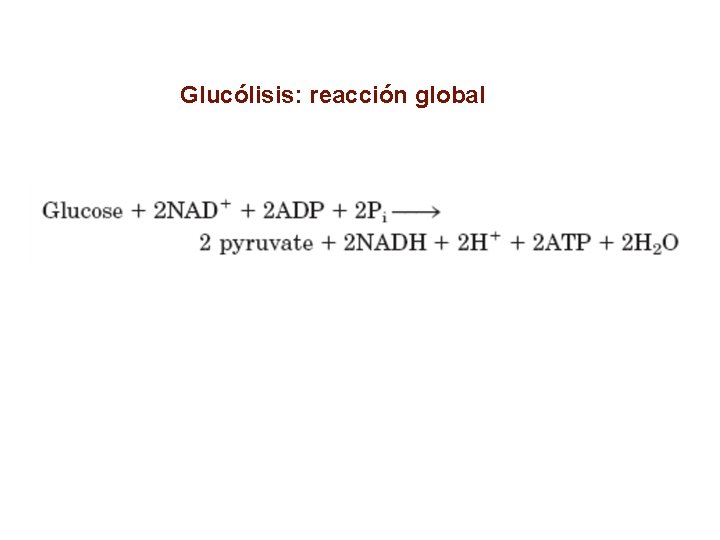 Glucólisis: reacción global 