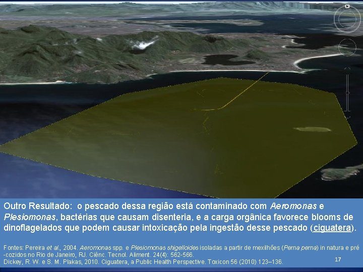 Outro Resultado: o pescado dessa região está contaminado com Aeromonas e Plesiomonas, bactérias que