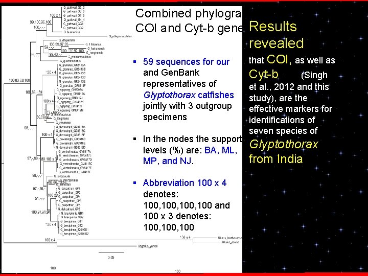 Combined phylogram of COI and Cyt-b genes. Results revealed § 59 sequences for our