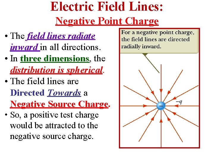 Electric Field Lines: Negative Point Charge • The field lines radiate inward in all