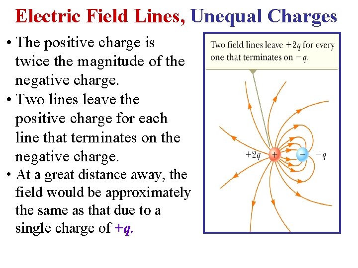 Electric Field Lines, Unequal Charges • The positive charge is twice the magnitude of