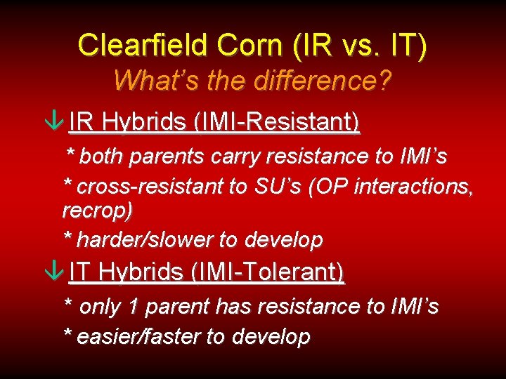 Clearfield Corn (IR vs. IT) What’s the difference? â IR Hybrids (IMI-Resistant) * both