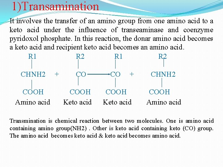 1)Transamination It involves the transfer of an amino group from one amino acid to