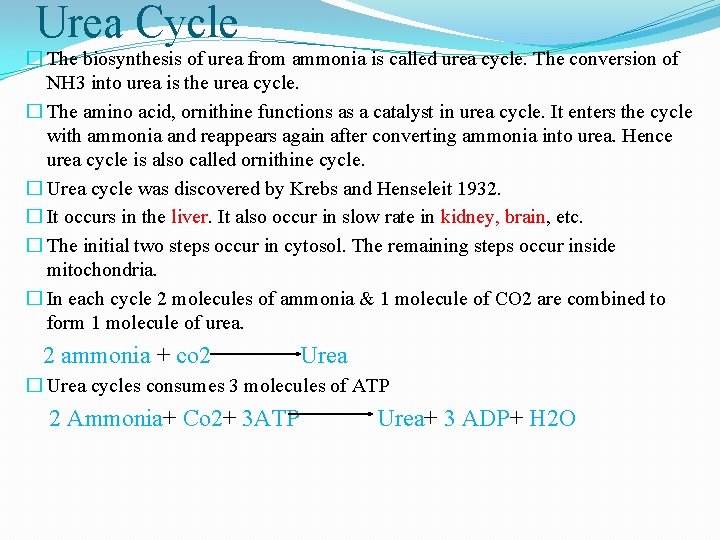 Urea Cycle � The biosynthesis of urea from ammonia is called urea cycle. The