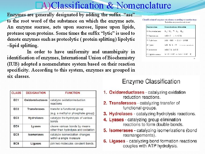 �A)Classification & Nomenclature Enzymes are generally designated by adding the suffix “ase” to the