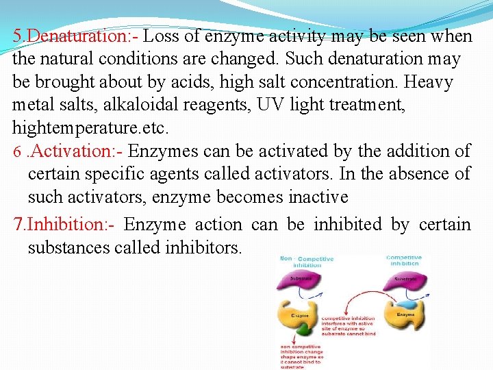 5. Denaturation: - Loss of enzyme activity may be seen when the natural conditions