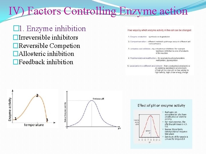 IV) Factors Controlling Enzyme action � 1. Enzyme inhibition �Irreversible inhibitors �Reversible Competion �Allosteric