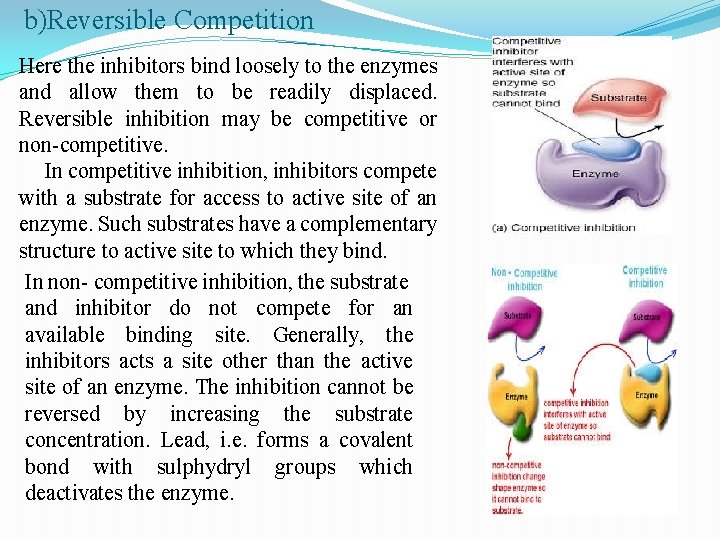 b)Reversible Competition Here the inhibitors bind loosely to the enzymes and allow them to