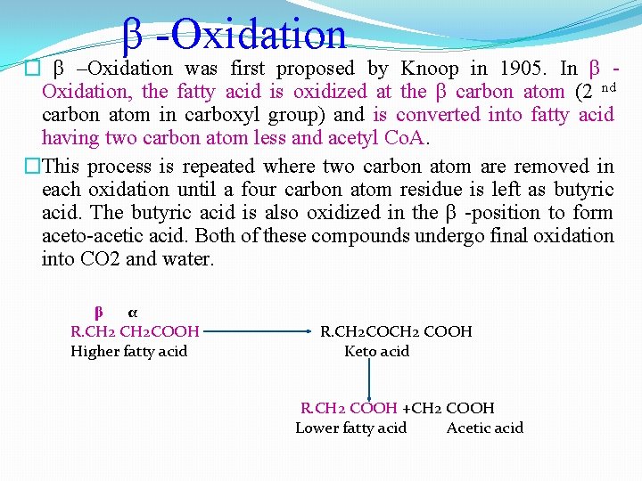 β -Oxidation � β –Oxidation was first proposed by Knoop in 1905. In β