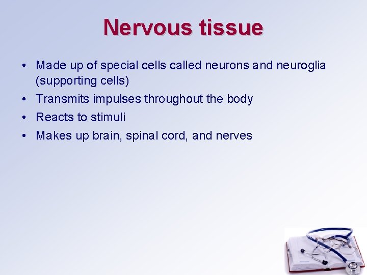 Nervous tissue • Made up of special cells called neurons and neuroglia (supporting cells)