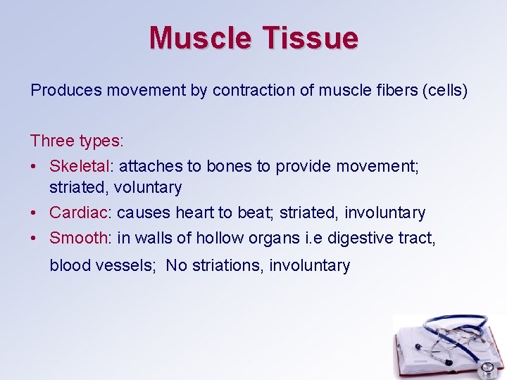 Muscle Tissue Produces movement by contraction of muscle fibers (cells) Three types: • Skeletal: