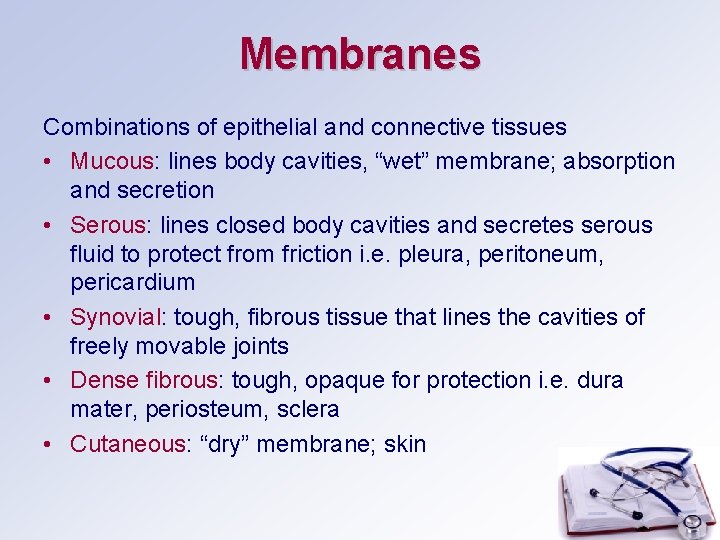 Membranes Combinations of epithelial and connective tissues • Mucous: lines body cavities, “wet” membrane;
