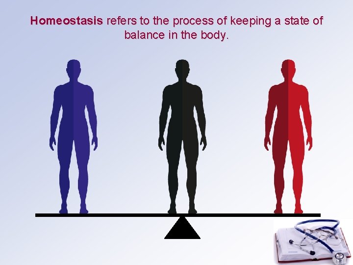 Homeostasis refers to the process of keeping a state of balance in the body.