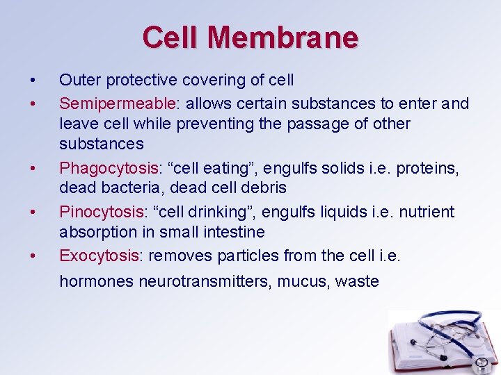 Cell Membrane • • • Outer protective covering of cell Semipermeable: allows certain substances