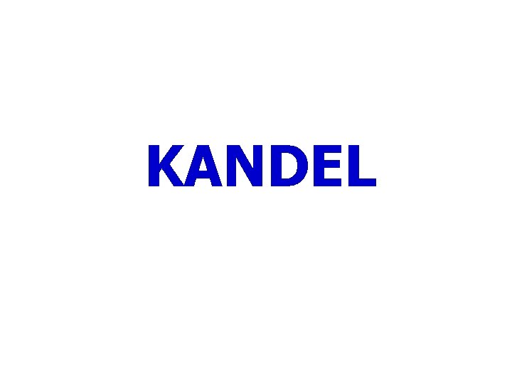 KANDEL 