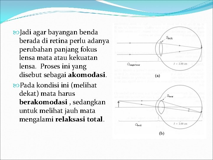  Jadi agar bayangan benda berada di retina perlu adanya perubahan panjang fokus lensa