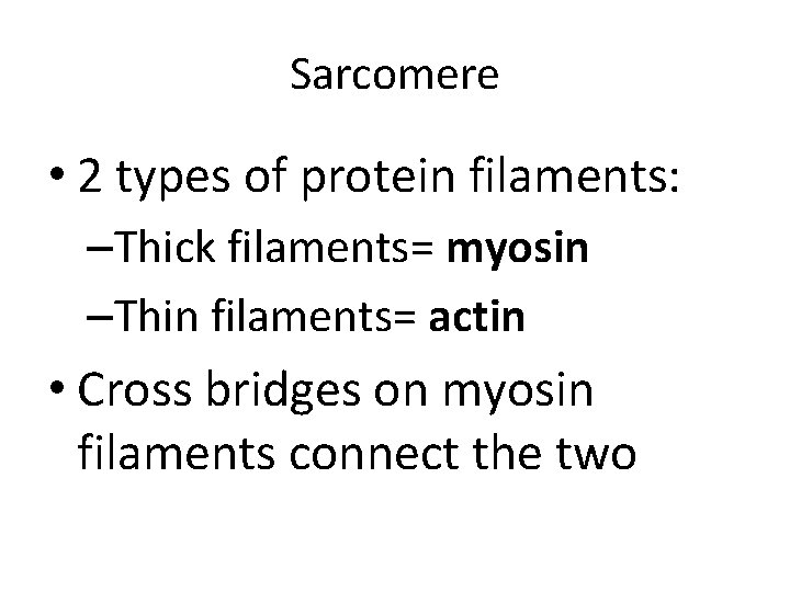 Sarcomere • 2 types of protein filaments: –Thick filaments= myosin –Thin filaments= actin • Sarcomere • 2 types of protein filaments: –Thick filaments= myosin –Thin filaments= actin •