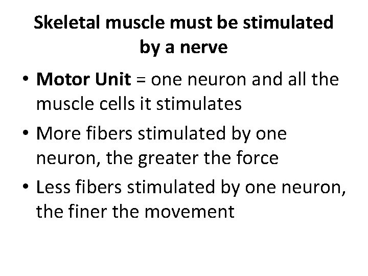Skeletal muscle must be stimulated by a nerve • Motor Unit = one neuron Skeletal muscle must be stimulated by a nerve • Motor Unit = one neuron