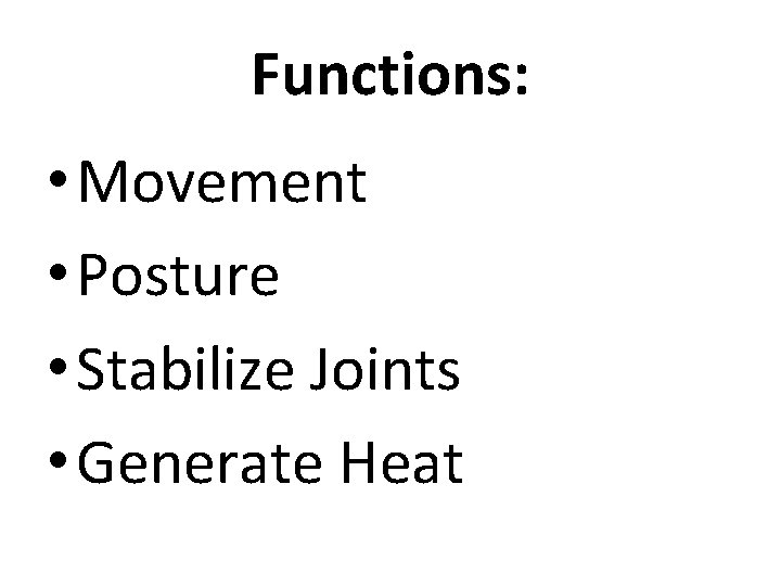 Functions: • Movement • Posture • Stabilize Joints • Generate Heat Functions: • Movement • Posture • Stabilize Joints • Generate Heat