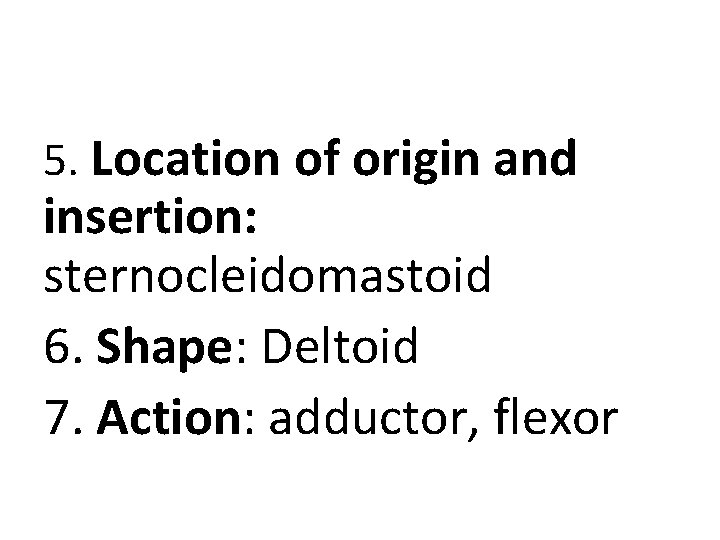 5. Location of origin and insertion: sternocleidomastoid 6. Shape: Deltoid 7. Action: adductor, flexor 5. Location of origin and insertion: sternocleidomastoid 6. Shape: Deltoid 7. Action: adductor, flexor