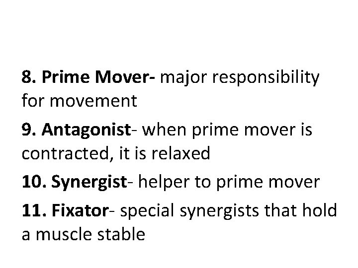8. Prime Mover- major responsibility for movement 9. Antagonist- when prime mover is contracted, 8. Prime Mover- major responsibility for movement 9. Antagonist- when prime mover is contracted,