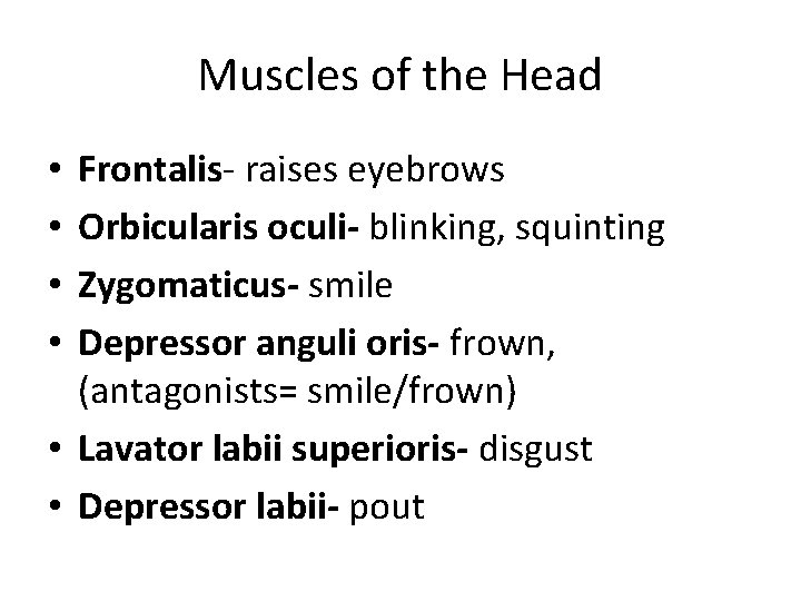 Muscles of the Head Frontalis- raises eyebrows Orbicularis oculi- blinking, squinting Zygomaticus- smile Depressor Muscles of the Head Frontalis- raises eyebrows Orbicularis oculi- blinking, squinting Zygomaticus- smile Depressor
