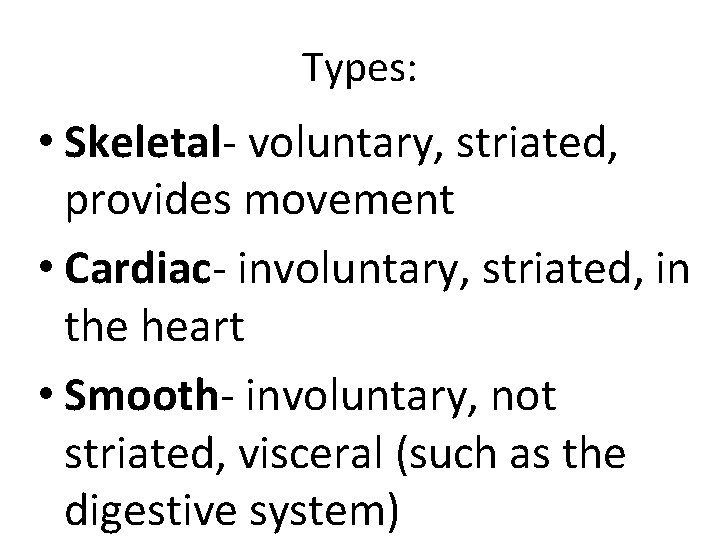 Types: • Skeletal- voluntary, striated, provides movement • Cardiac- involuntary, striated, in the heart Types: • Skeletal- voluntary, striated, provides movement • Cardiac- involuntary, striated, in the heart