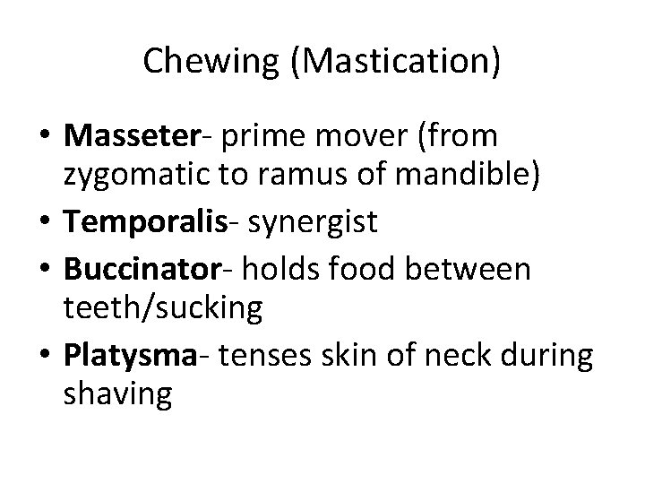 Chewing (Mastication) • Masseter- prime mover (from zygomatic to ramus of mandible) • Temporalis- Chewing (Mastication) • Masseter- prime mover (from zygomatic to ramus of mandible) • Temporalis-