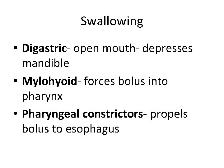 Swallowing • Digastric- open mouth- depresses mandible • Mylohyoid- forces bolus into pharynx • Swallowing • Digastric- open mouth- depresses mandible • Mylohyoid- forces bolus into pharynx •