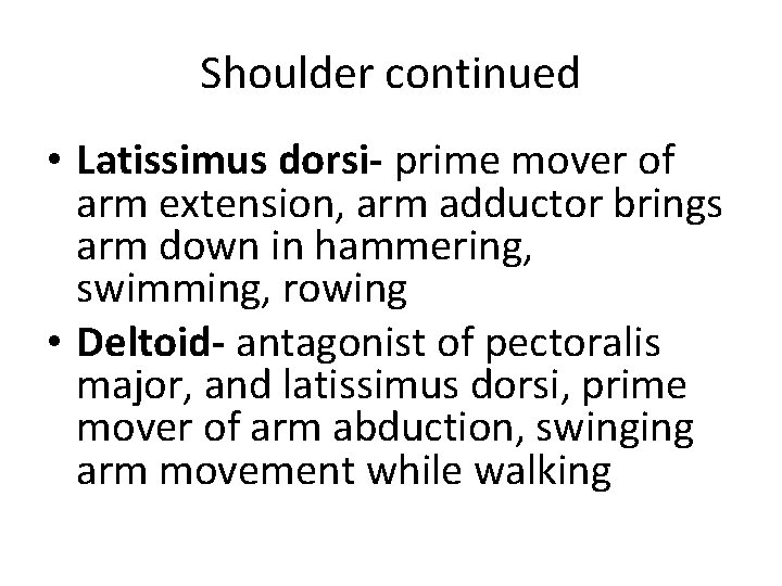 Shoulder continued • Latissimus dorsi- prime mover of arm extension, arm adductor brings arm Shoulder continued • Latissimus dorsi- prime mover of arm extension, arm adductor brings arm