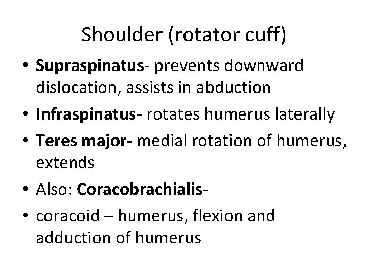 Shoulder (rotator cuff) • Supraspinatus- prevents downward dislocation, assists in abduction • Infraspinatus- rotates Shoulder (rotator cuff) • Supraspinatus- prevents downward dislocation, assists in abduction • Infraspinatus- rotates