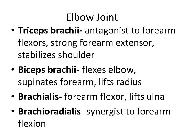 Elbow Joint • Triceps brachii- antagonist to forearm flexors, strong forearm extensor, stabilizes shoulder Elbow Joint • Triceps brachii- antagonist to forearm flexors, strong forearm extensor, stabilizes shoulder