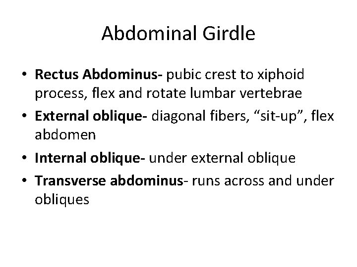 Abdominal Girdle • Rectus Abdominus- pubic crest to xiphoid process, flex and rotate lumbar Abdominal Girdle • Rectus Abdominus- pubic crest to xiphoid process, flex and rotate lumbar