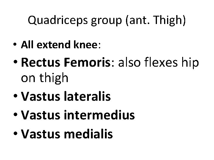 Quadriceps group (ant. Thigh) • All extend knee: • Rectus Femoris: also flexes hip Quadriceps group (ant. Thigh) • All extend knee: • Rectus Femoris: also flexes hip