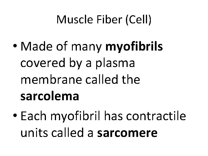 Muscle Fiber (Cell) • Made of many myofibrils covered by a plasma membrane called Muscle Fiber (Cell) • Made of many myofibrils covered by a plasma membrane called