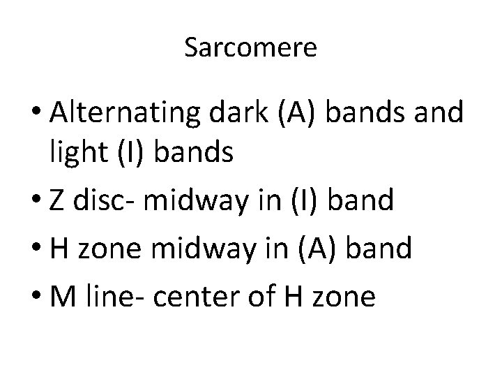 Sarcomere • Alternating dark (A) bands and light (I) bands • Z disc- midway Sarcomere • Alternating dark (A) bands and light (I) bands • Z disc- midway