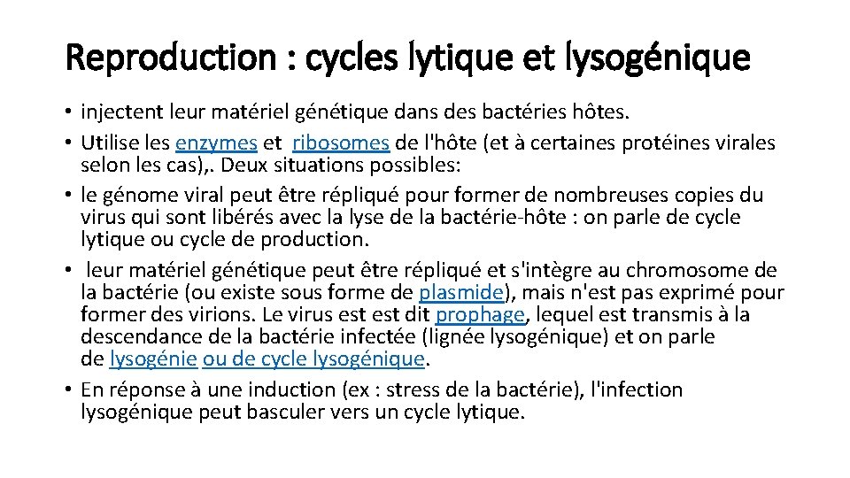 Reproduction : cycles lytique et lysogénique • injectent leur matériel génétique dans des bactéries