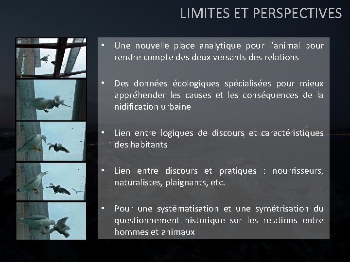 LIMITES ET PERSPECTIVES • Une nouvelle place analytique pour l’animal pour rendre compte des