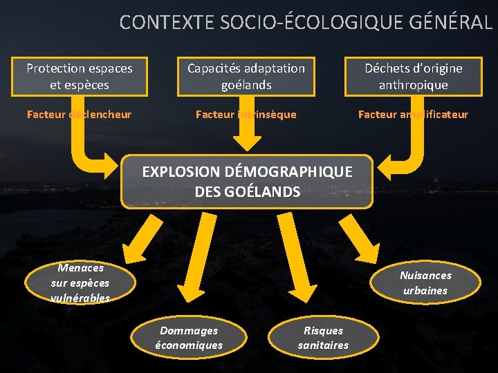 CONTEXTE SOCIO-ÉCOLOGIQUE GÉNÉRAL Protection espaces et espèces Capacités adaptation goélands Déchets d’origine anthropique Facteur