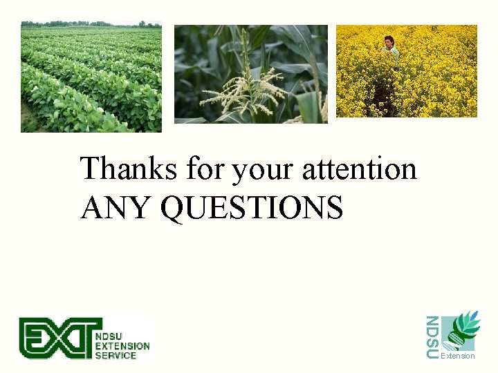 Thanks for your attention ANY QUESTIONS NDSU Extension 