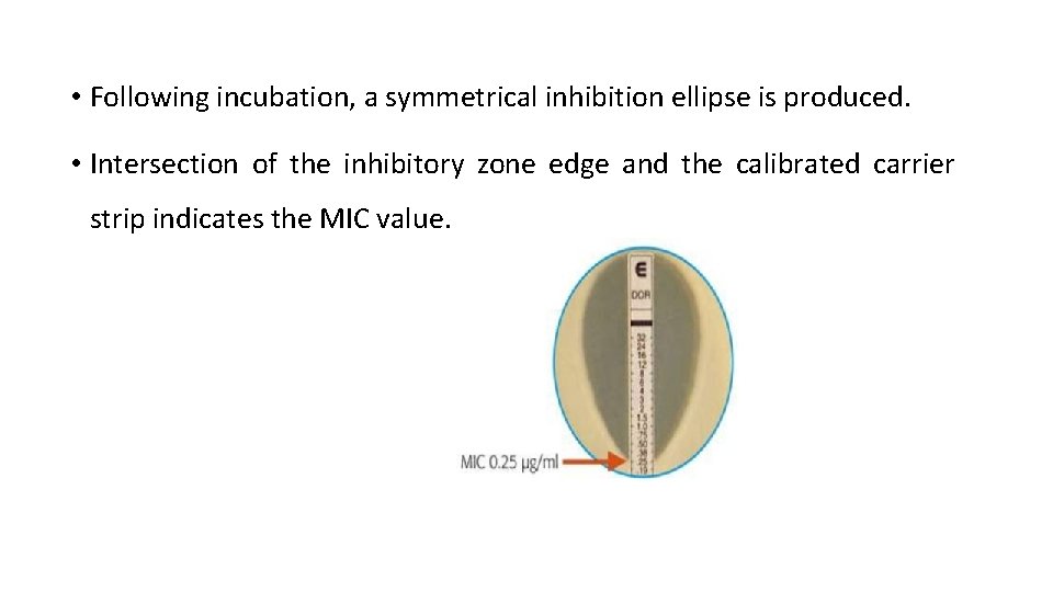  • Following incubation, a symmetrical inhibition ellipse is produced. • Intersection of the