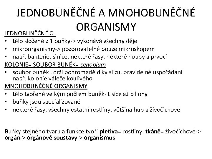 JEDNOBUNĚČNÉ A MNOHOBUNĚČNÉ ORGANISMY JEDNOBUNĚČNÉ O. • tělo složené z 1 buňky-> vykonává všechny