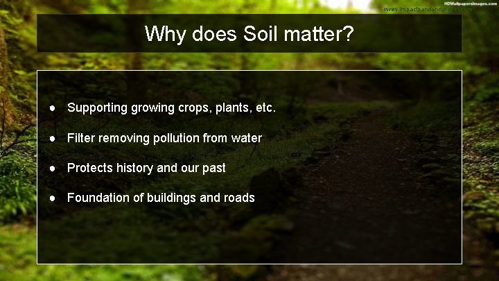 www. impactsandandgravel. com Why does Soil matter? ● Supporting growing crops, plants, etc. ●