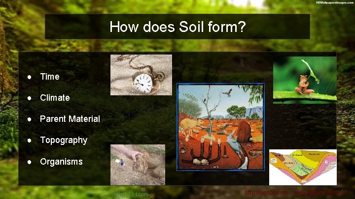 How does Soil form? ● Time ● Climate ● Parent Material ● Topography ●