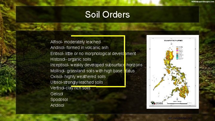 Soil Orders Alfisol- moderately leached Andisol- formed in volcanic ash Entisol- little or no