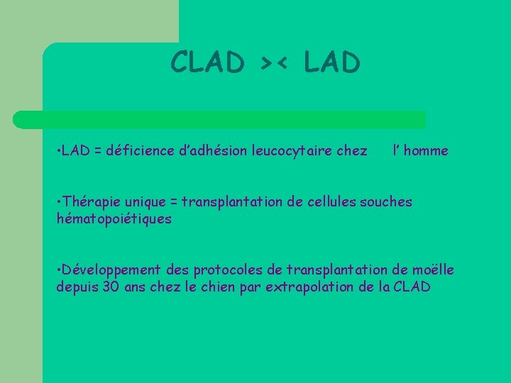 CLAD >< LAD • LAD = déficience d’adhésion leucocytaire chez l’ homme • Thérapie